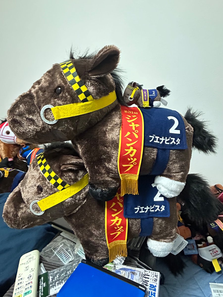 ブエナビスタ(buena Vista)名前通りの良い眺め