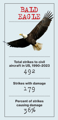 This Feather Could Save Your Life -  actuarial.news/2025/11/19/thi…