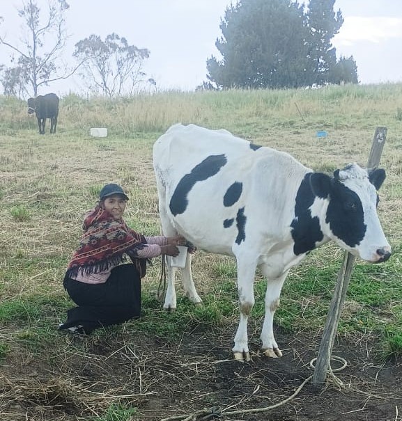 🤝ECLOF in Ecuador is partnering with <a href="/PartnersWW/">Partners Worldwide</a> to empower local entrepreneurs and farmers with access to training. 

👉Learn more about this collaboration and how it benefited our client in Ecuador Gregoria Gavin: eclof.org/ecuador_partne…

<a href="/ECLOF_1946/">ECLOF International</a>

#ECLOF #PartnersWorldwide