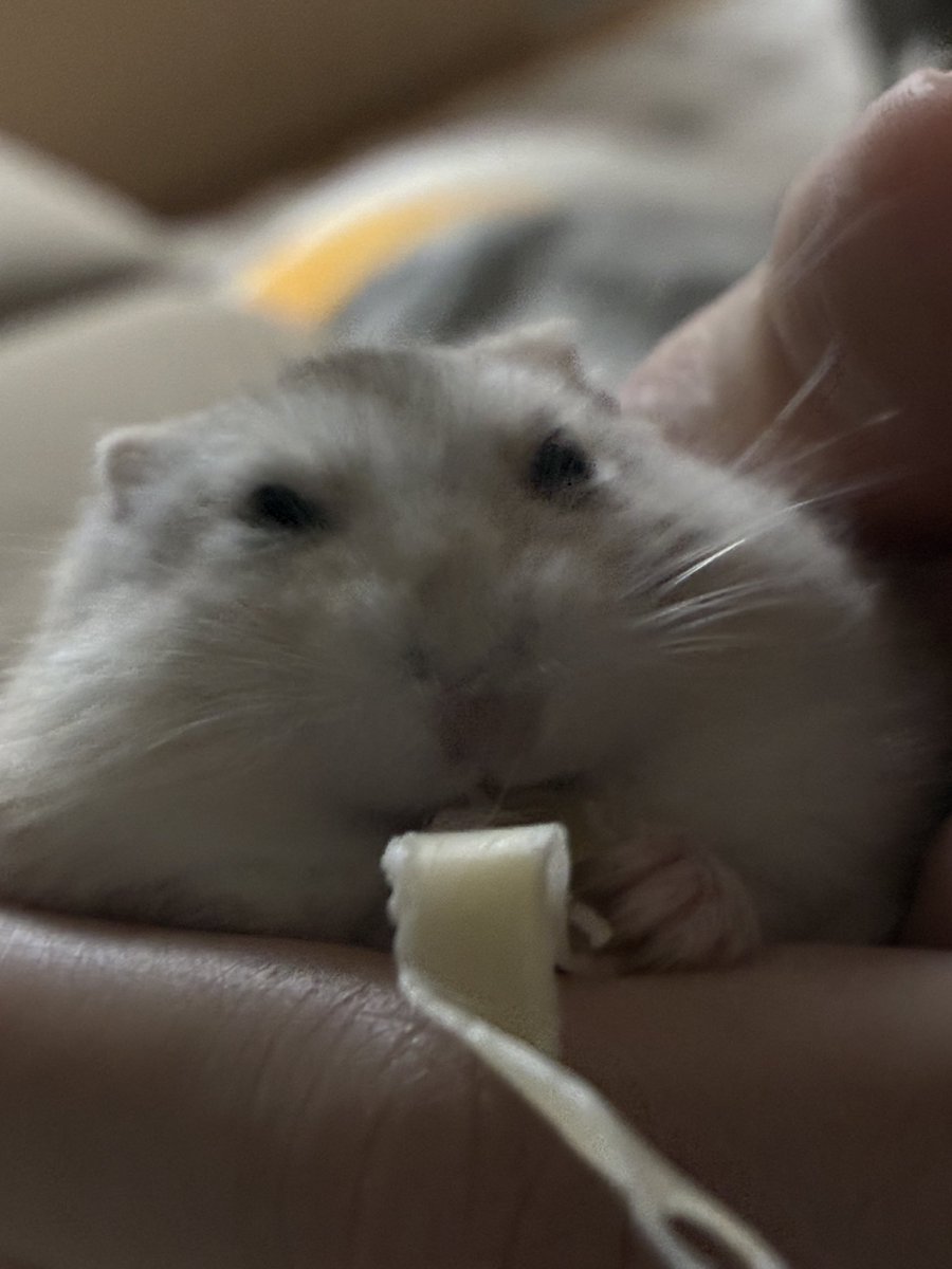 うの (@0000_uno) on X