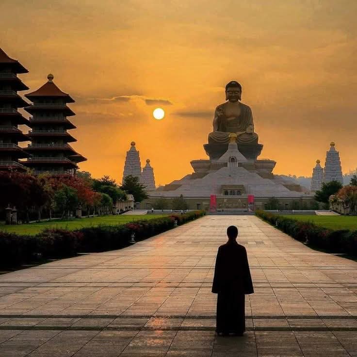 Namaste_mandalas tweet media