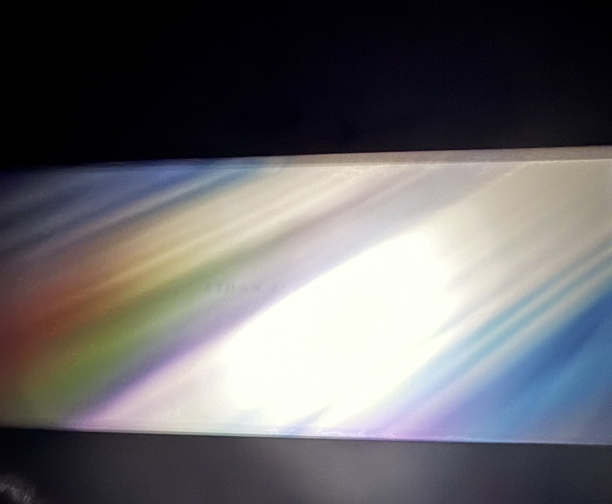 subatrasingh's tweet image. the bi n gay flags end credits… oh im sure