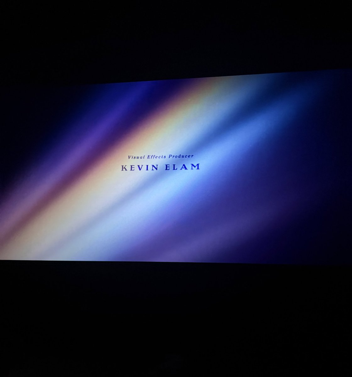 subatrasingh's tweet image. the bi n gay flags end credits… oh im sure
