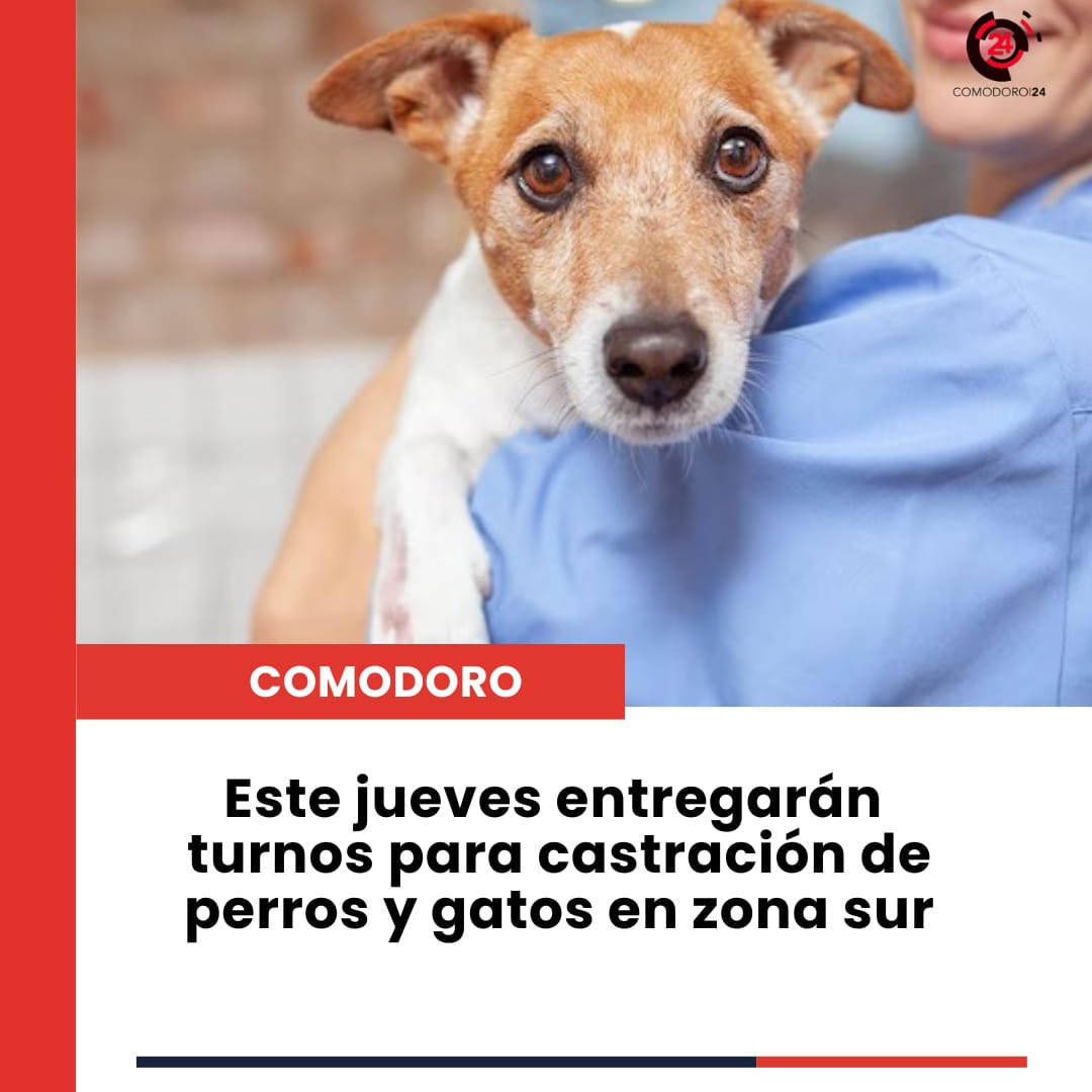 #Comodoro Los turnos podrán solicitarse desde el jueves 20 de noviembre, de 9 a 12 horas, en la Vecinal del barrio San Isidro Labrador ubicada en Santa Clara al 1200.

⬇️Más en la nota⬇️
comodoro24.com.ar/este-jueves-en…