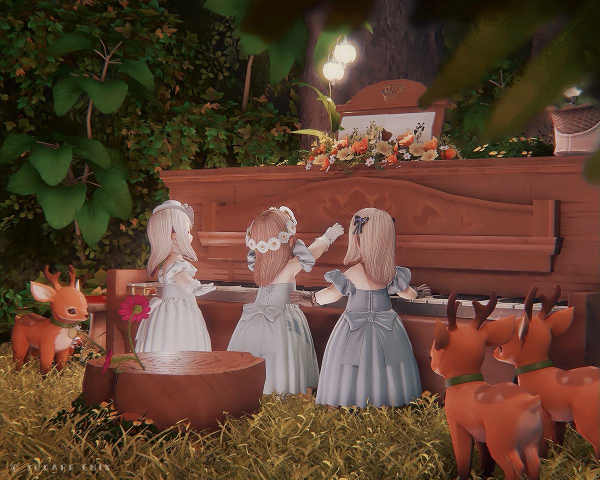 _____anur's tweet image. 🌳🎹🎻〜🎶　#san_studio