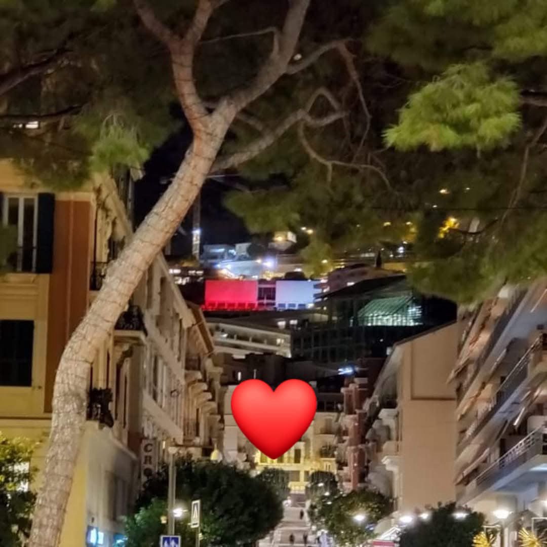 Fête du Prince #monaco