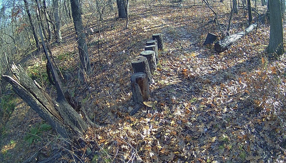 S19Tor's tweet image. What a #MorningView gang