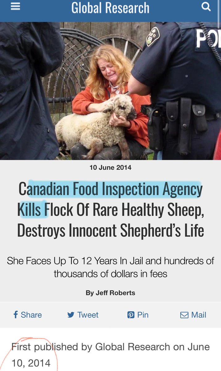 MelissaLMRogers's tweet image. Another horrific KILLING by the CFIA who slaughtered 40 rare Shropshire heritage SHEEP on a farm in eastern Ontario.  

BUT, the sheep were healthy, the breed was endangered, and post mortem tests confirmed no disease in the culled animals 🤯 CFIA is a killing agency