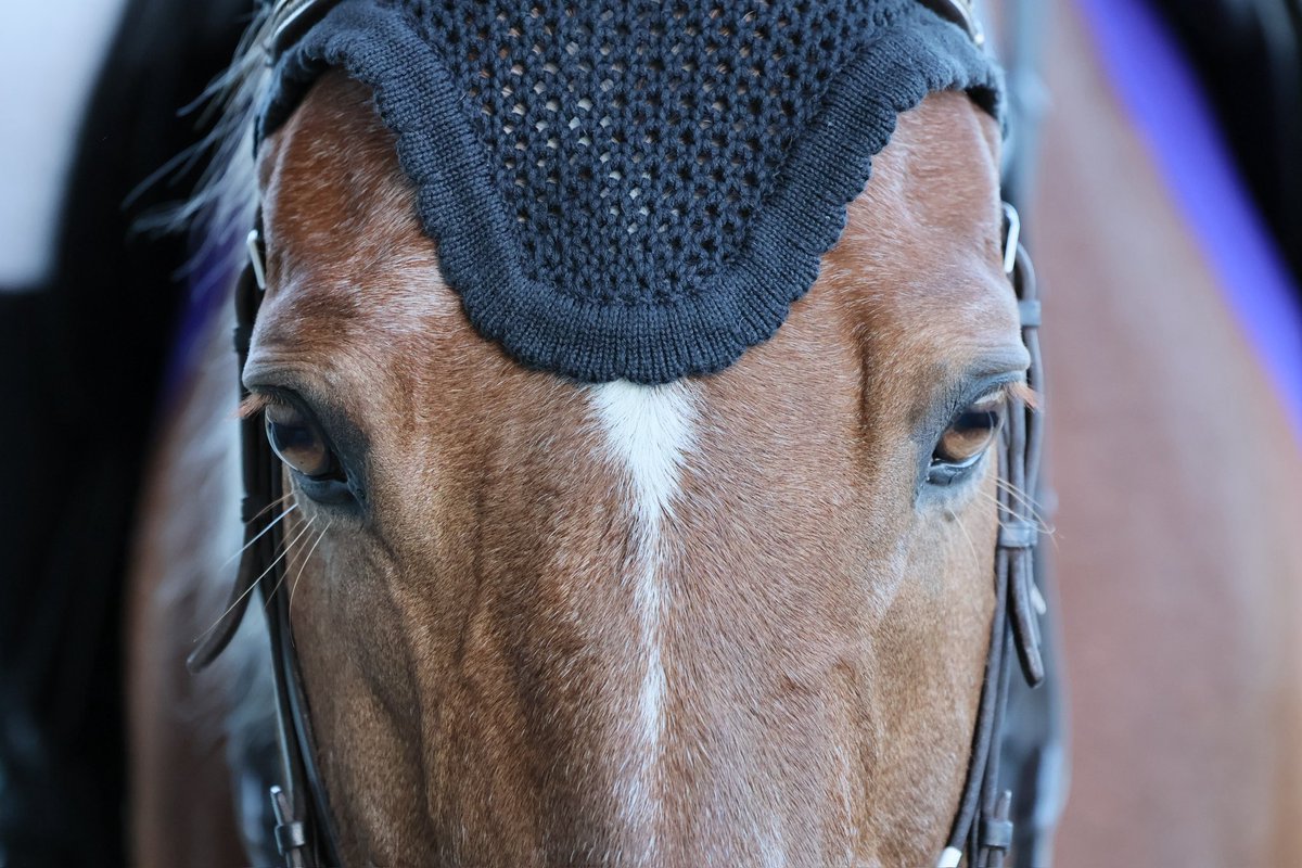 福島競馬場はヒプノティストさんを見られるのも楽しみの一つです