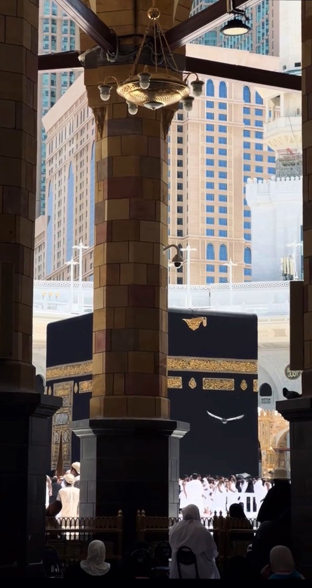 mkll9i's tweet photo. - لا غيّب اللّٰه مرْأىٰ بيتهِ عن نَاظريّ♥️ https://t.co/uLtIQ2nSnm