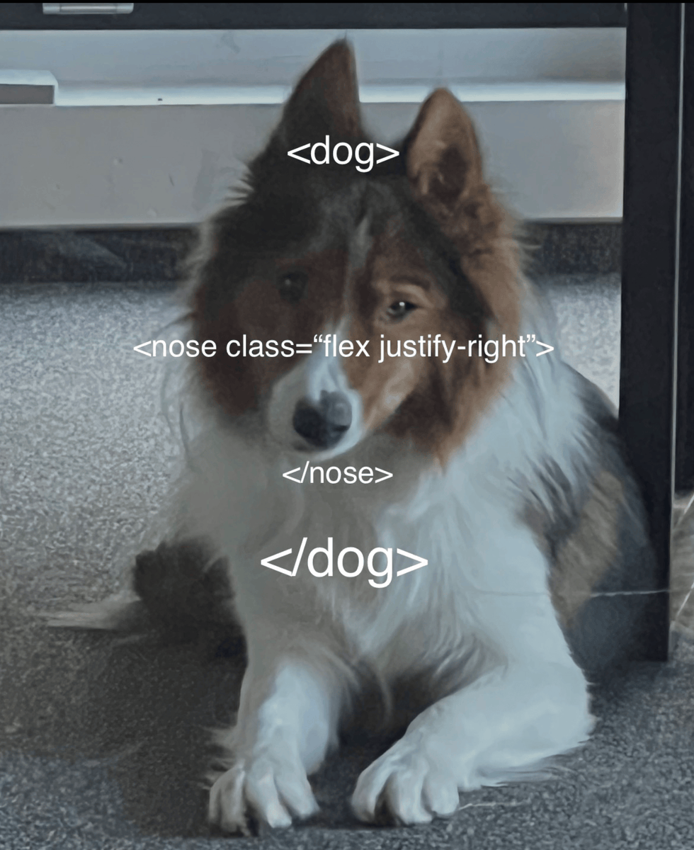 NeonyExchange's tweet image. Our DEVS are working so hard, they&apos;re starting to see a code everywhere.