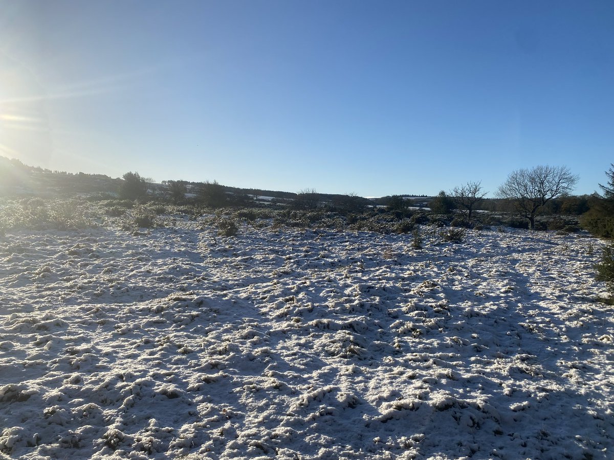 lispbiftatits's tweet image. 