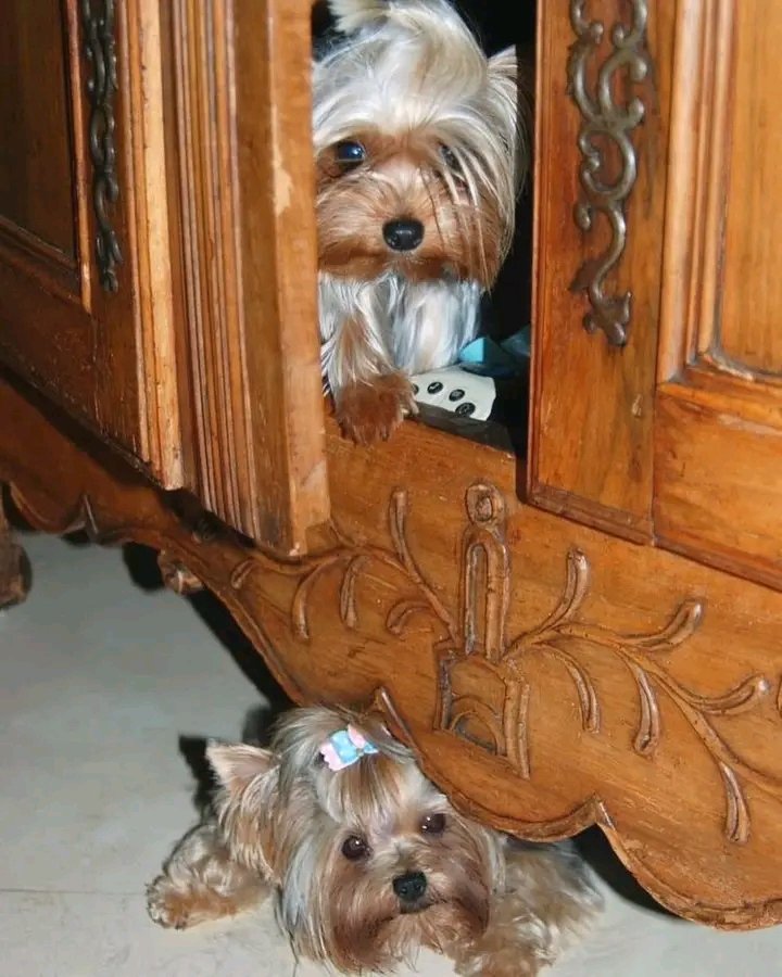 ChampneyLisa's tweet image. #WhenINeedTimeForMyself I lock the door.