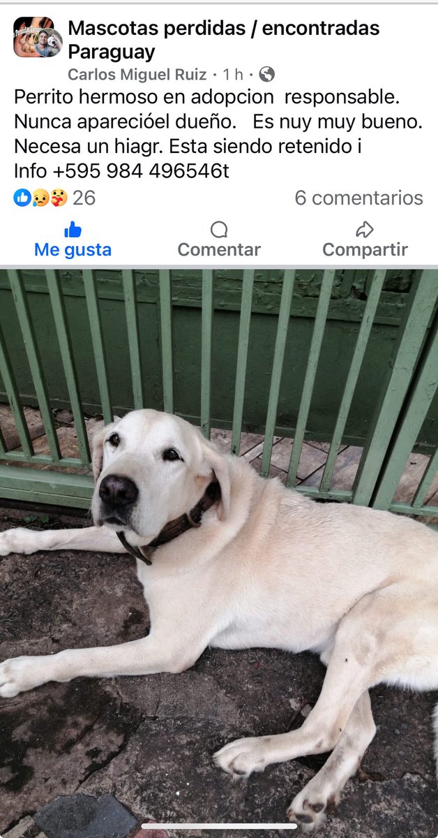 RT busca a su familia