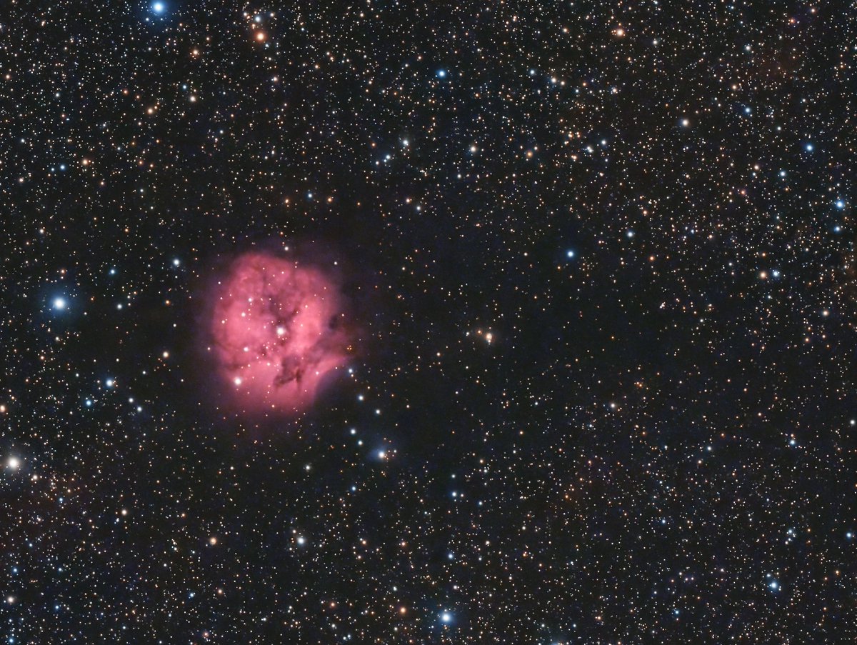 Sydenham007's tweet photo. IC5146 aka The Cocoon Nebula

#astrophotography https://t.co/HJUS0mohqP