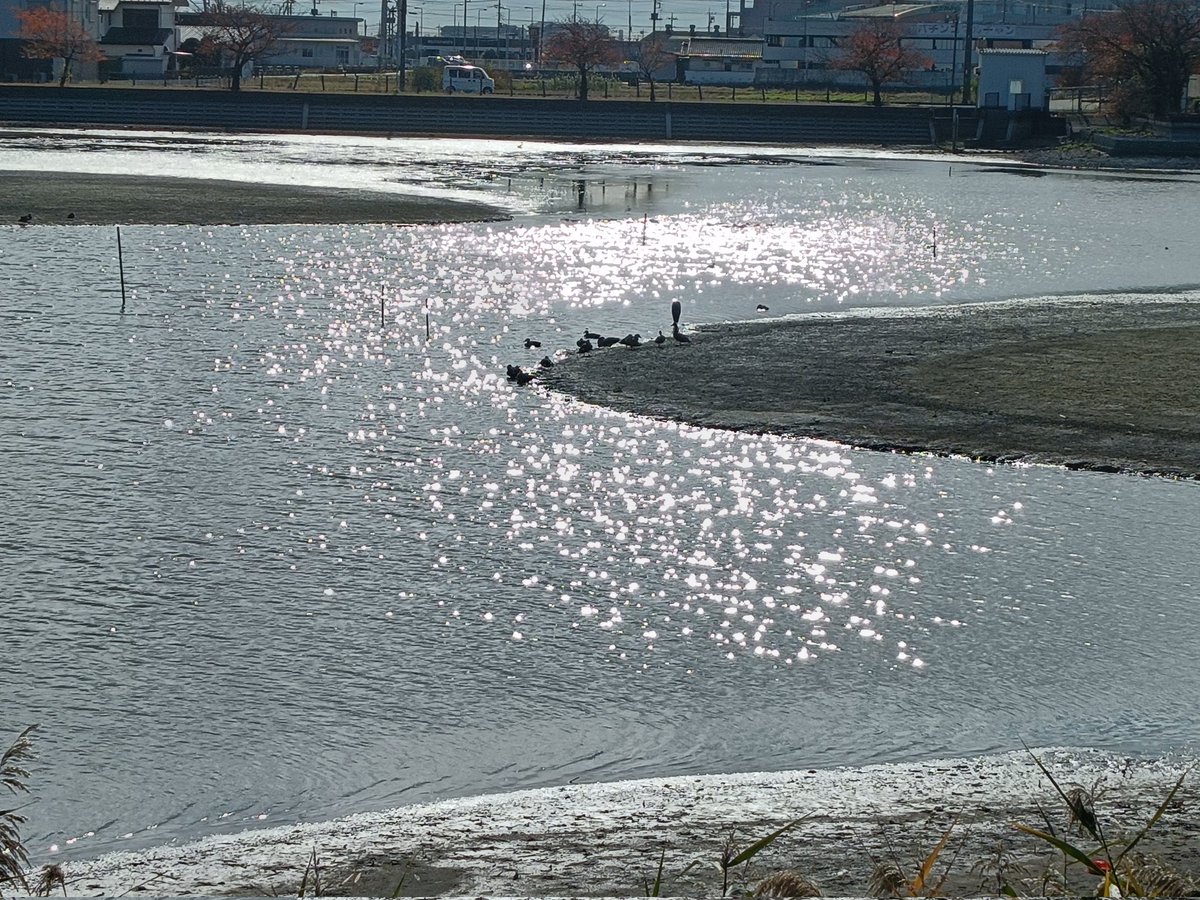 STEPN82291017's tweet image. 今日は26エナ。GOの背景は釧路フィッシャーマンズワーフ（北海道・2020年9月）
STEPNアクティベーションコードどうぞっ
78121611
#STEPN
#activationcode
#stepnactivationcode
#STEPNGO