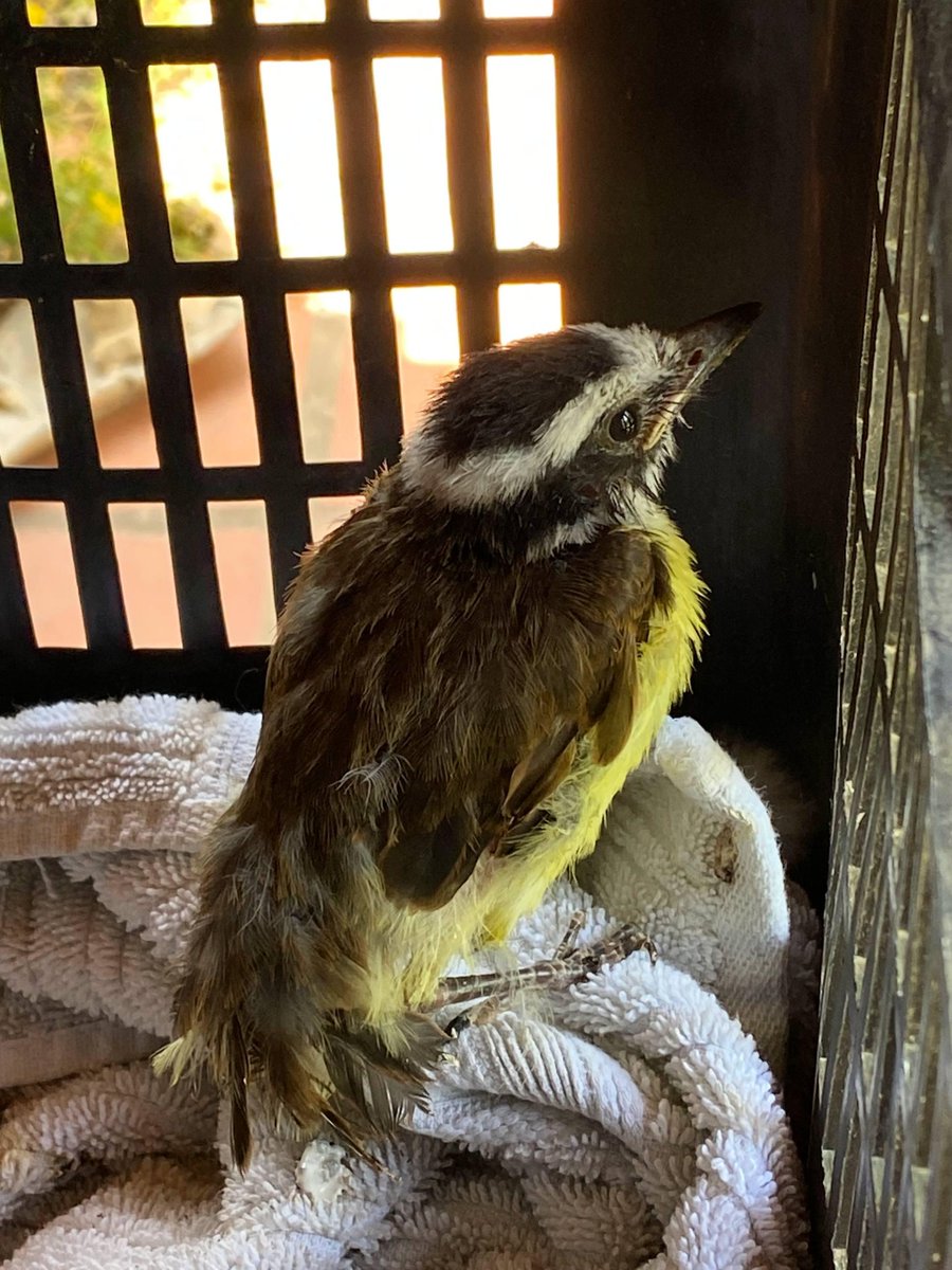 причина по которой я встаю в 4:30 каждый день: