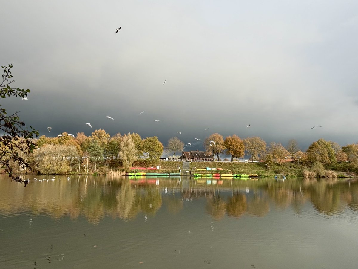 EddyMisman's tweet image. #vrtweer ⁦@BuienradarBE⁩ ⁦@HetweerinBelgie⁩ Beernem 10u58 #basis🏃‍♂️