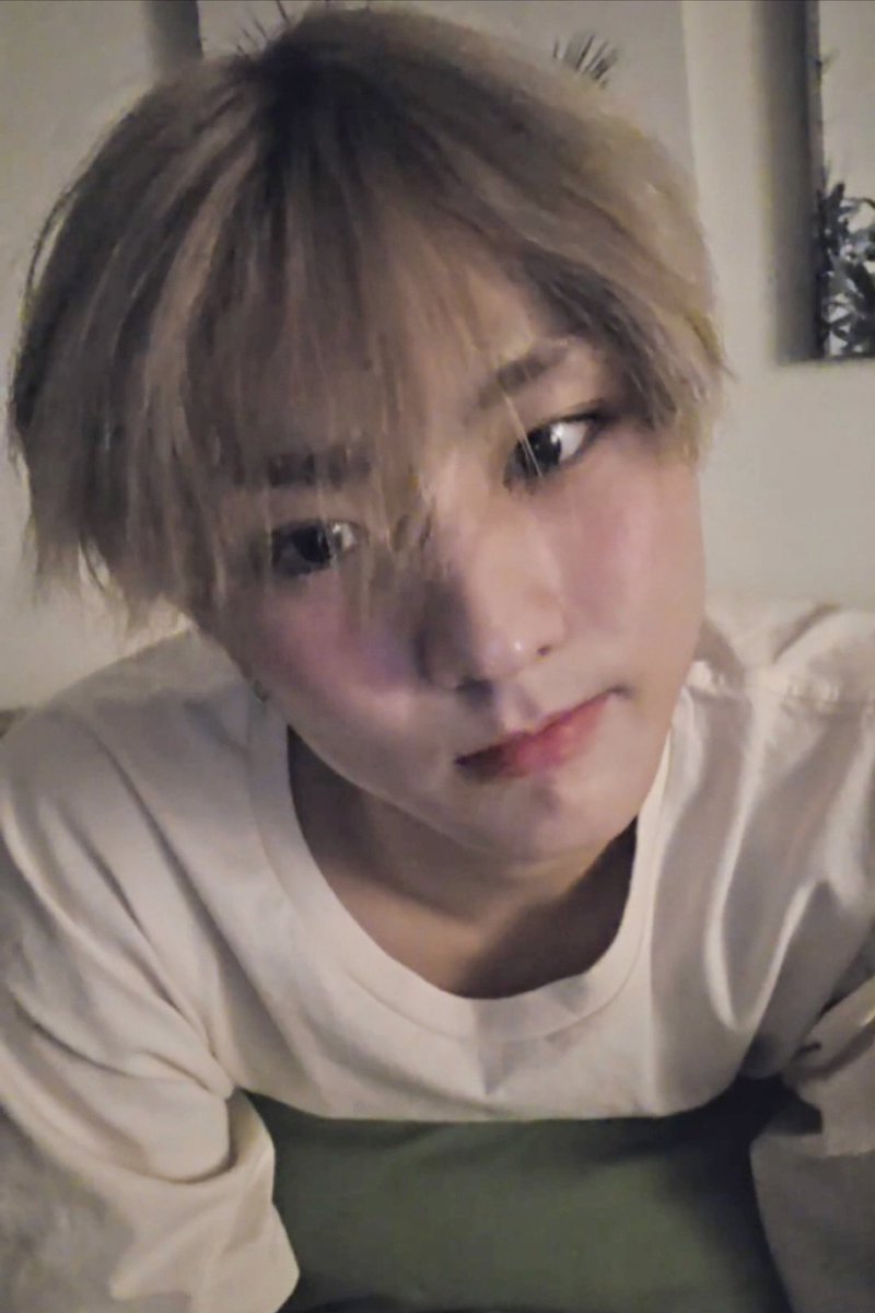 양른 아카이브 tweet media