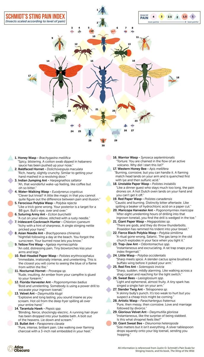 fasc1nate's tweet image. The Schmidt Pain Index (Sting Pain Guide)