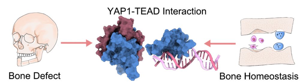 eCM Journal tweet media