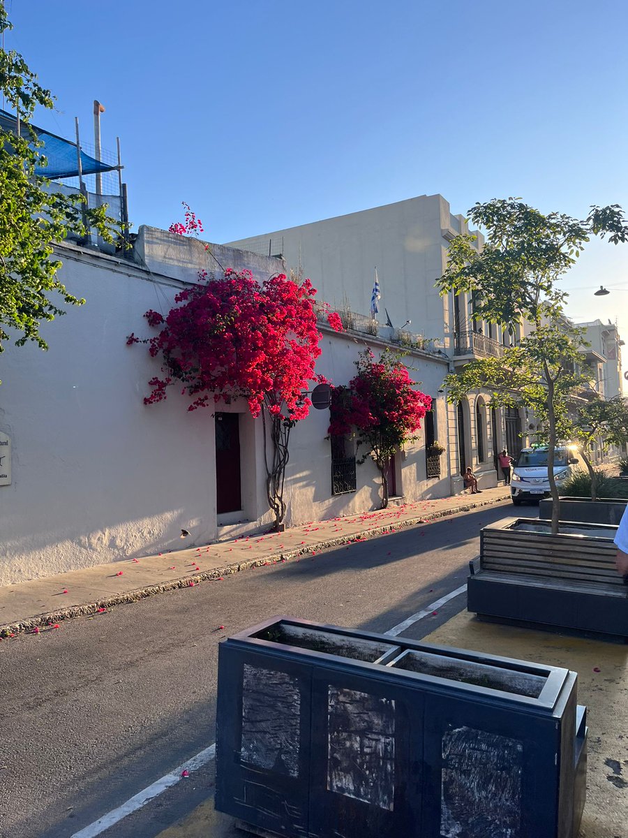 Maria Vigo Rocca tweet media