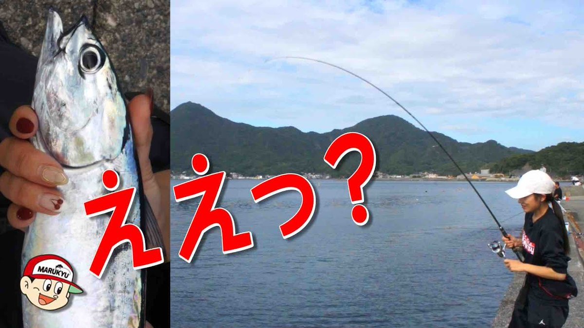 公式】GO!GO!九ちゃんフィッシング (@9chan_fishing) / Posts / X