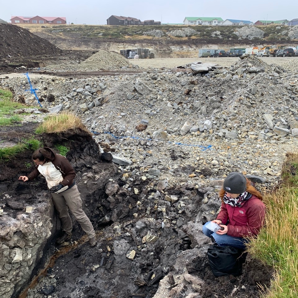 unisouthampton's tweet image. Did you know ancient bogs could hold clues to a major shift in the Earth's climate? ❄️

Our scientists discovered that sudden shifts in the Southern Westerly Winds 15,000 years ago triggered a massive growth of peatland swamps.

Read more 👉 southampton.pulse.ly/jflggdtzjq