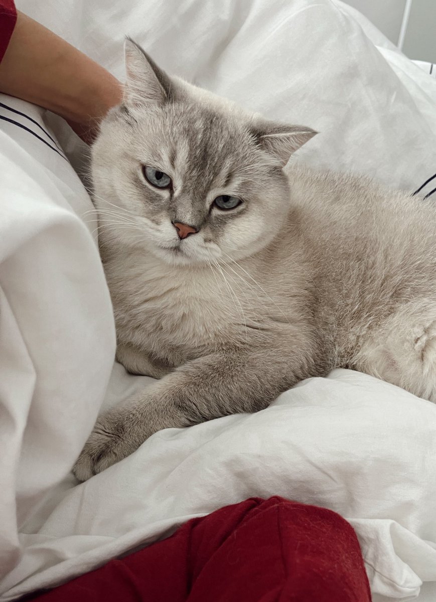 Sen benim hayatıma gelmiş en güzel hissin ✨