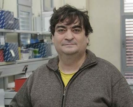 Demografía (CSIC) tweet media