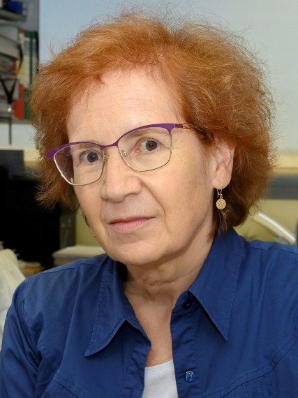 Demografía (CSIC) tweet media