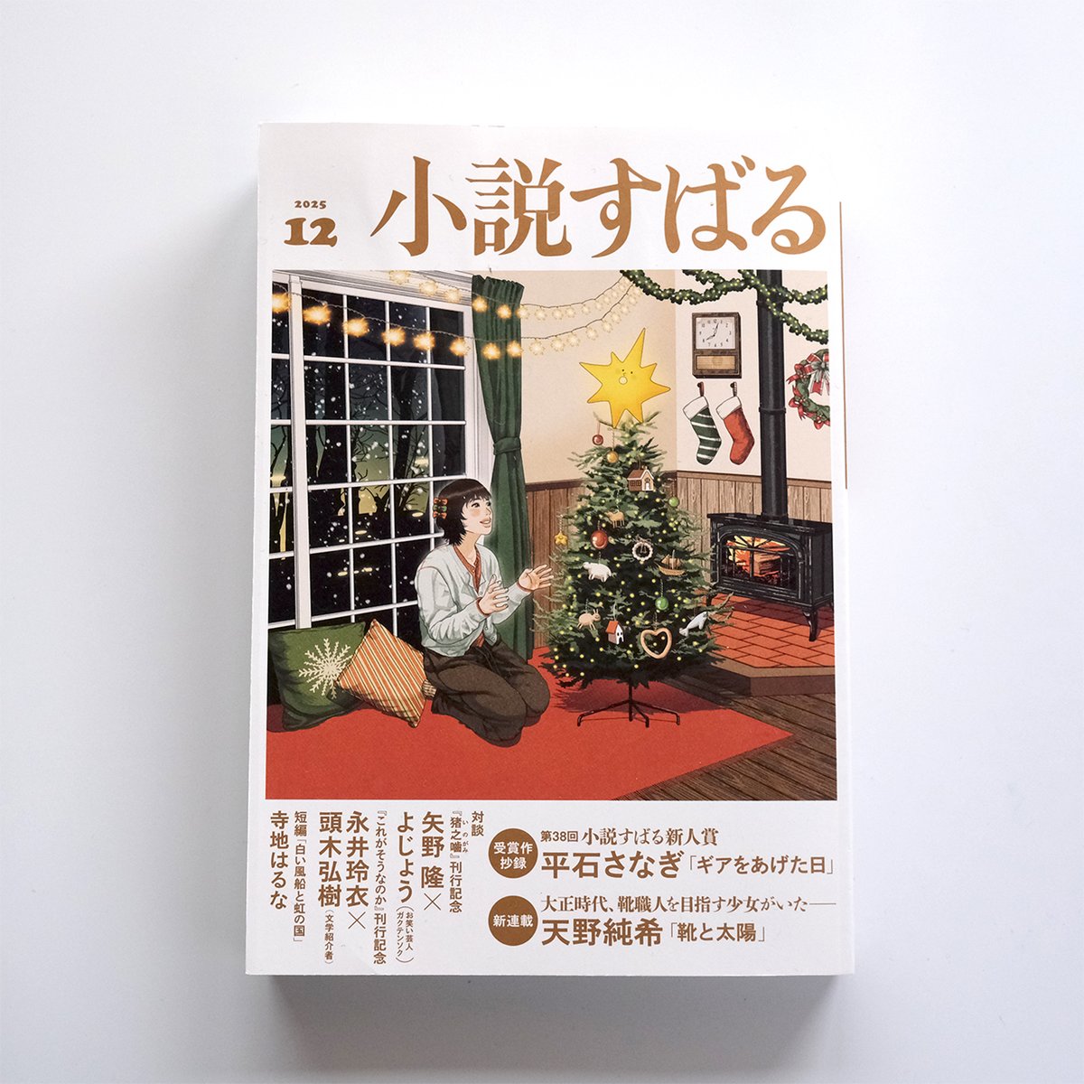 津村記久子さんの連載小説「クインテット」の挿絵を担当しています。プリンアラモードのアイスだけ食べたあとパソコンと睨めっこしている新キャラクターも登場、気になります。

クインテット第7回 『小説すばる』2025年12月号
集英社