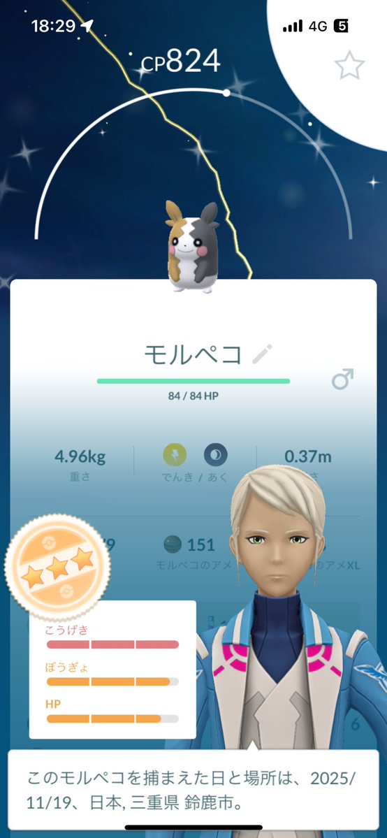 PON000poke's tweet image. モルペコ色違いきたぁぁぁ！
ステもまあまあまあまあ☺️👍
#ポケモンGO #ポケGO