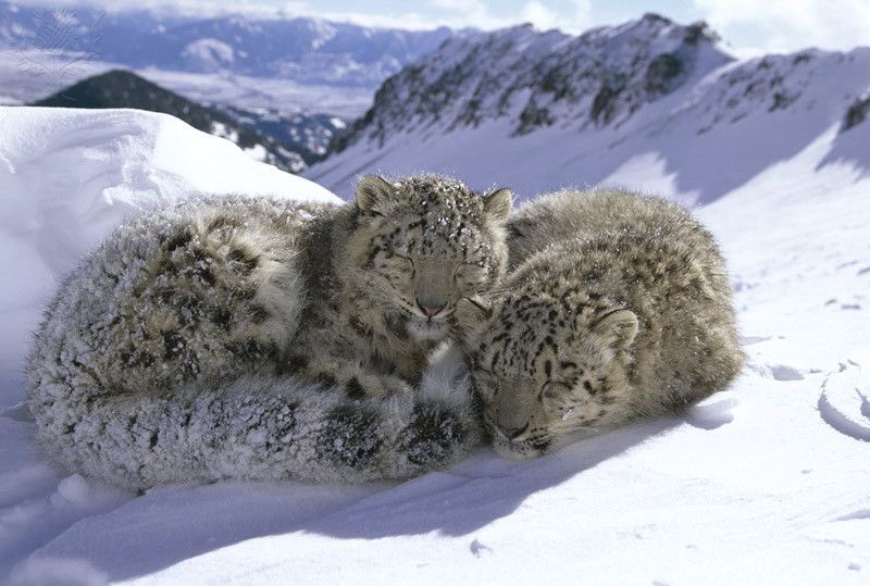 Me and you twin #ILoveYou