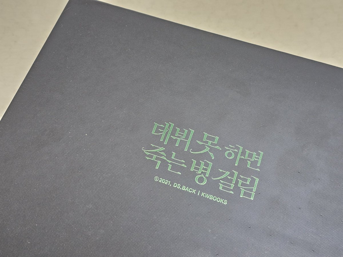 천랑성 디자인 tweet media