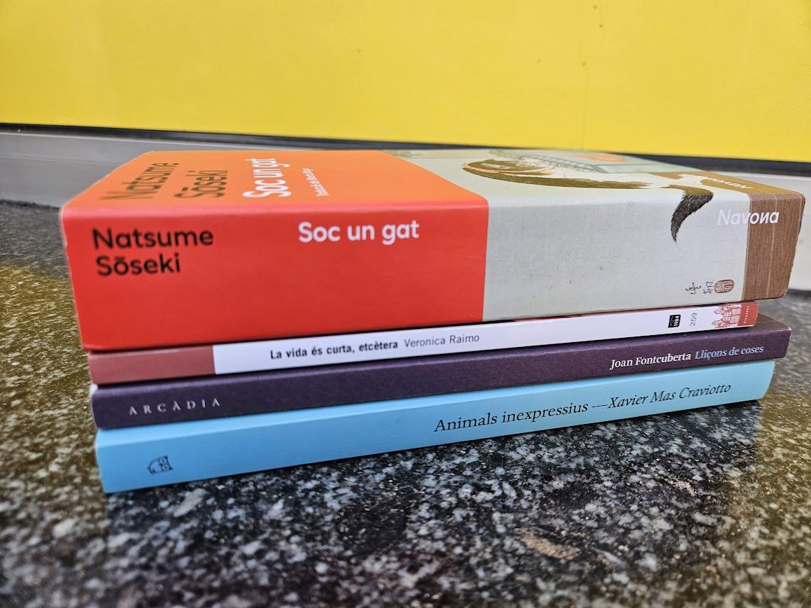 Un Marc Cerrudo tweet media