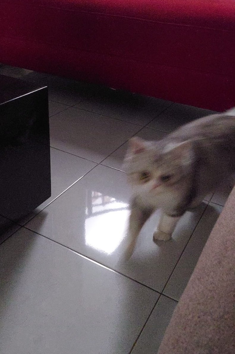 *bunyi kantong kresek*
zara: