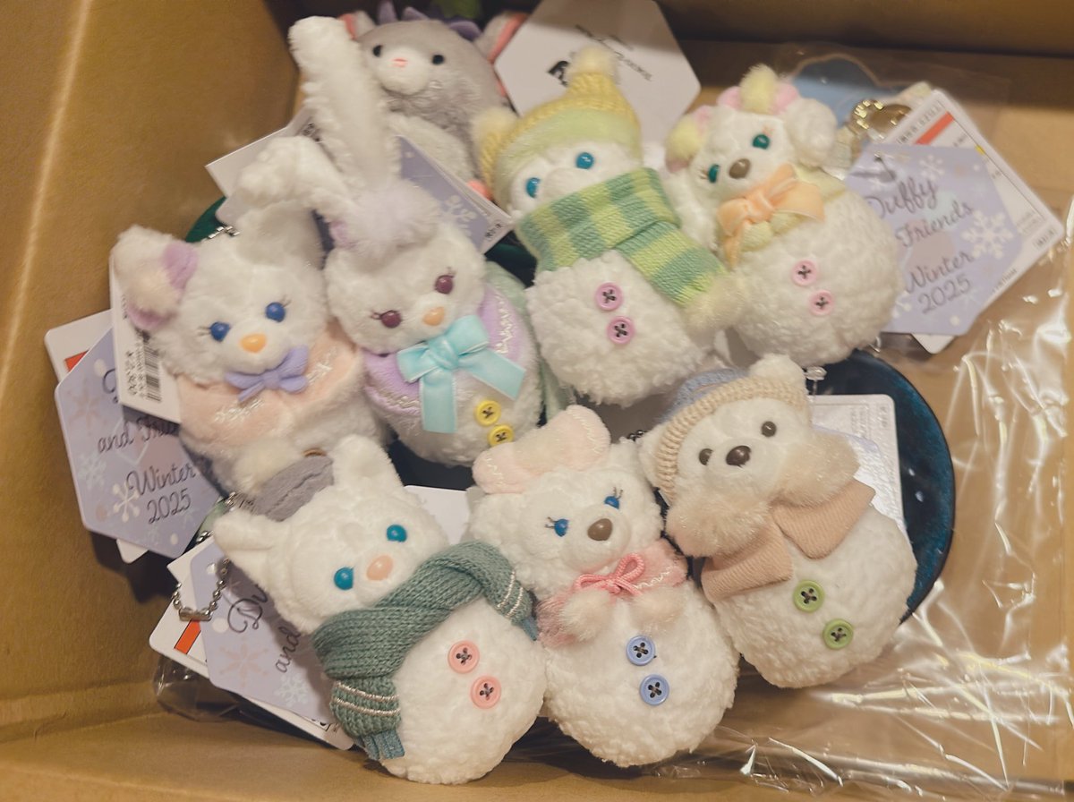 友人に頼んで発売日に買ってきてもらったグッズかわいすぎる、、、、