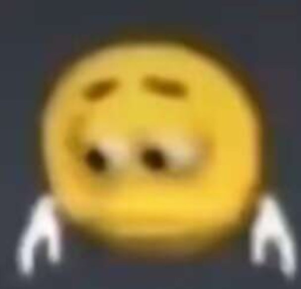 园喵不圆 tweet media