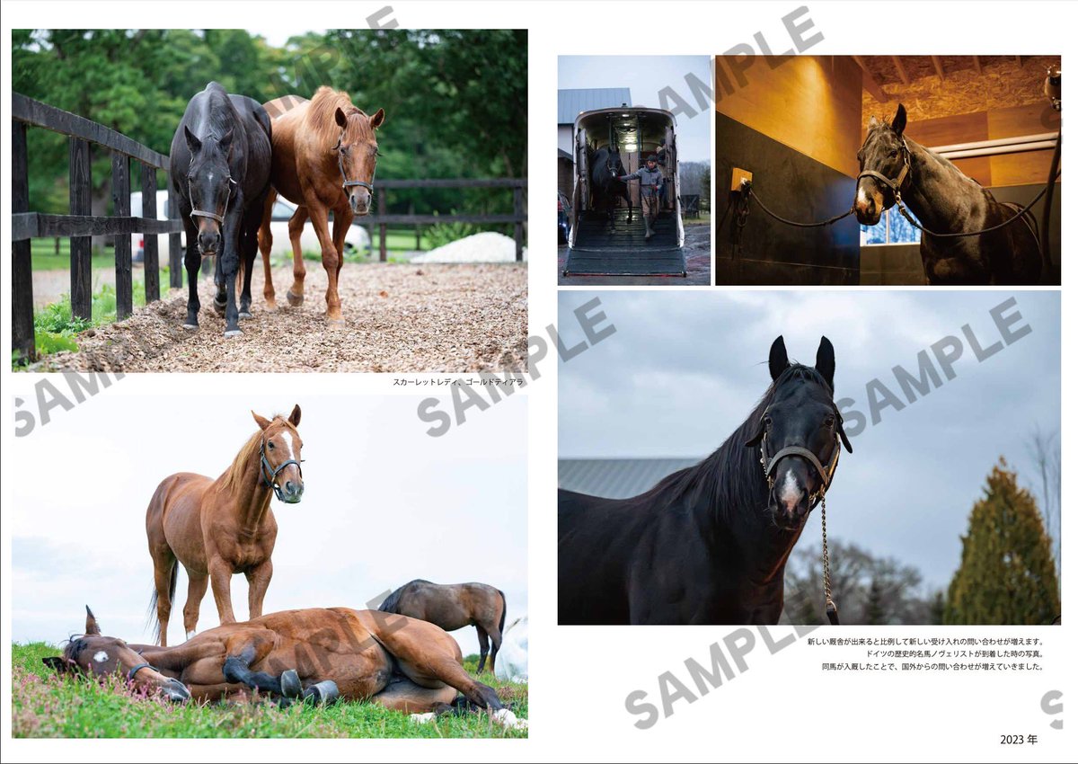 Yogibo✕ヴェルサイユファーム✕尾花氏オリジナルデザイン 【カバー