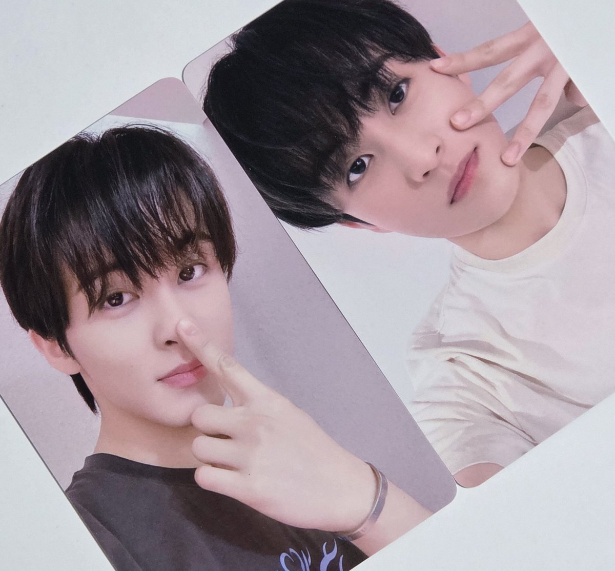 마크 포카 너무 예쁨
띵동코랑 고양이 수염