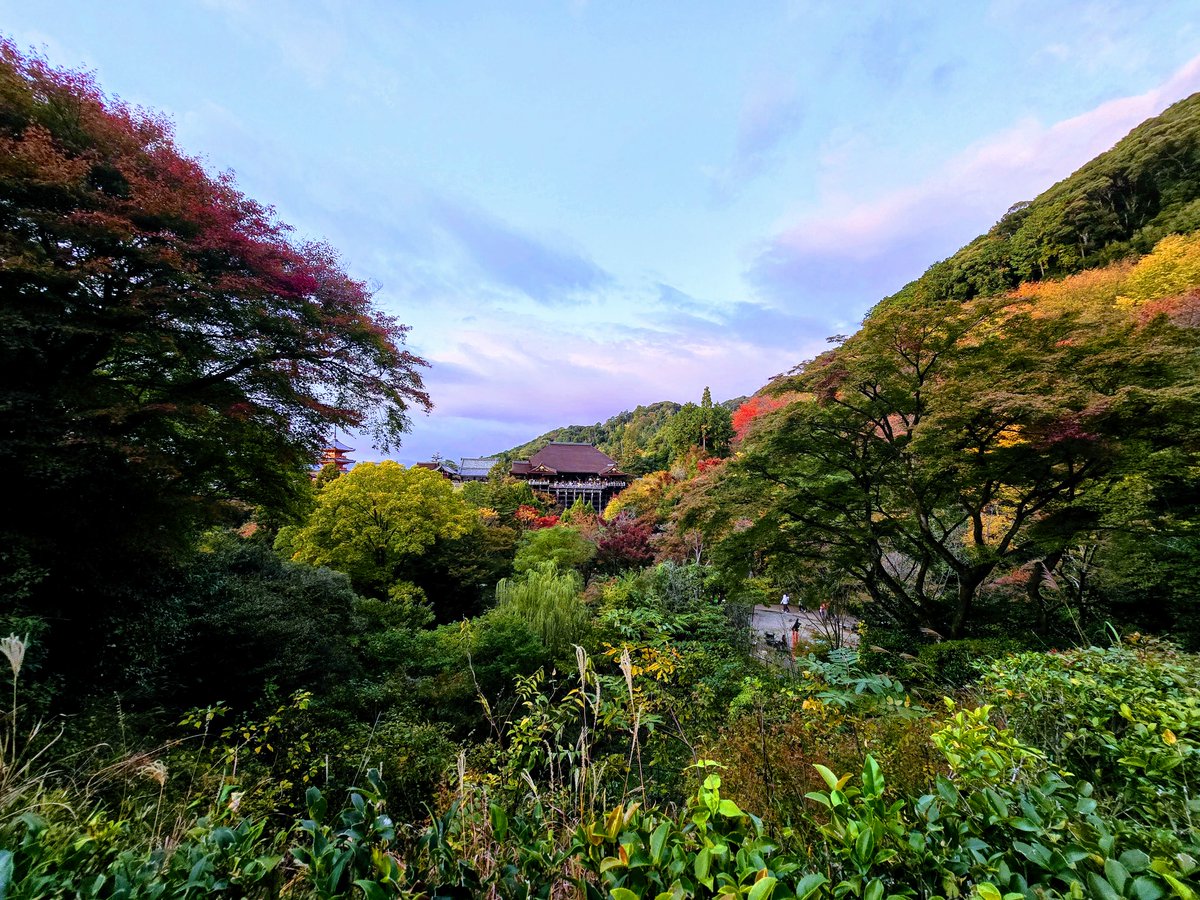 Jesse Gillespie (@jdgillsp) on Twitter photo 