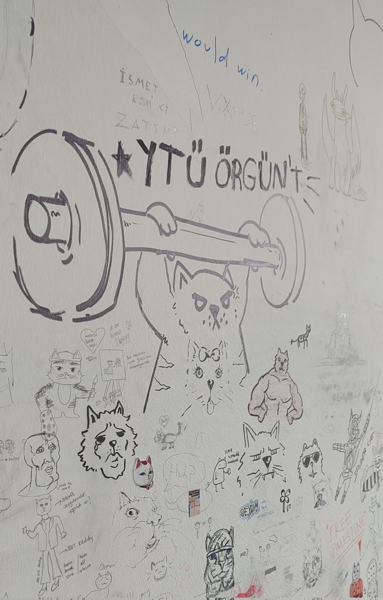 ÖGO🎮 | Pyorigke tweet media