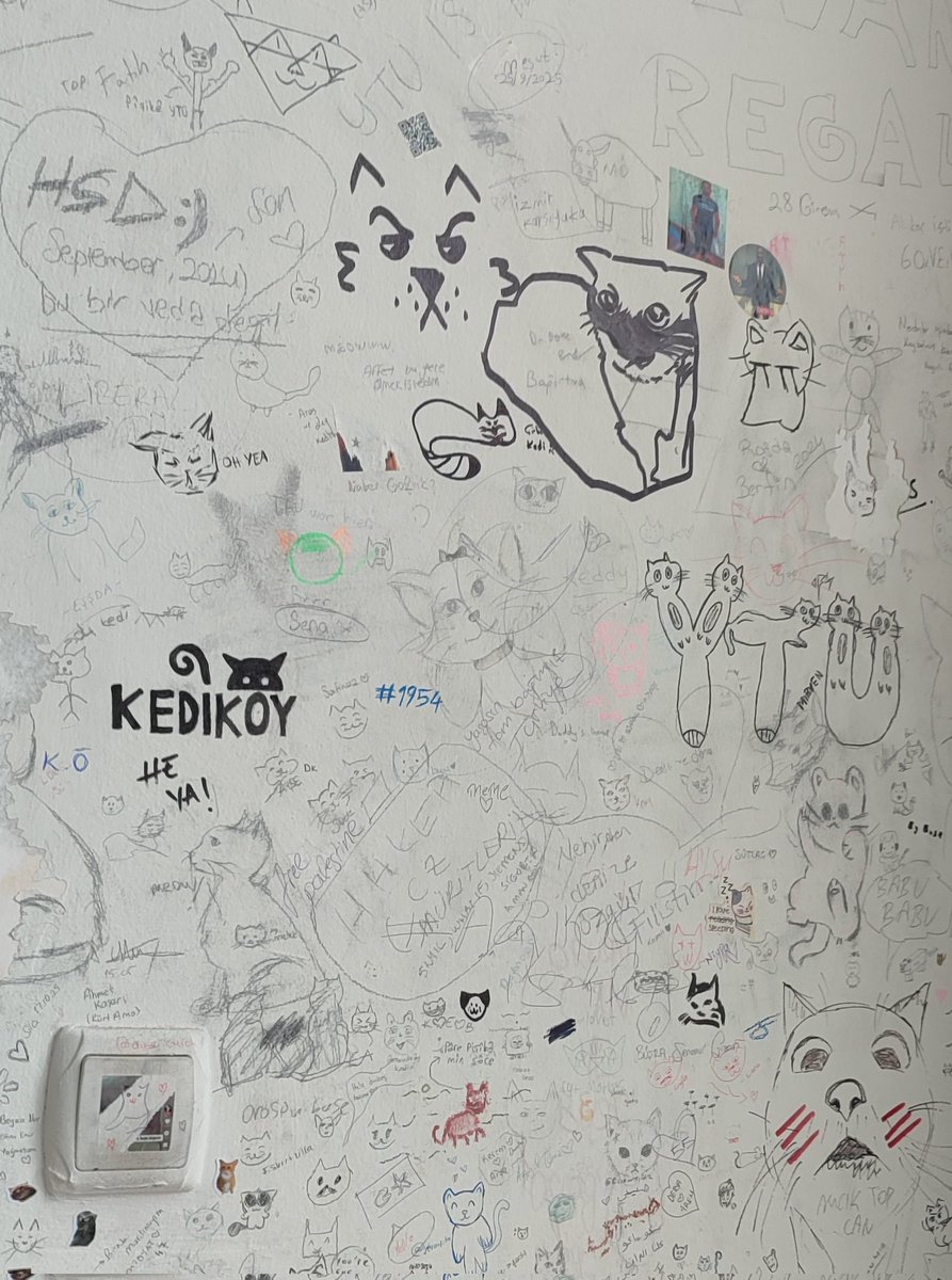 ÖGO🎮 | Pyorigke tweet media