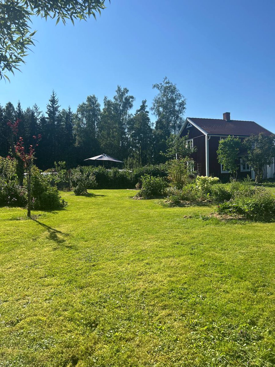 Lee_KWeb's tweet image. Gm if you GM CT,
 have a great day 
Let&apos;s connect