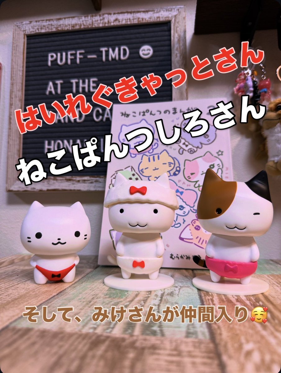 以前ソフビを色々と調べていたら、ねこぱんつさんを発掘🤔 気に入って