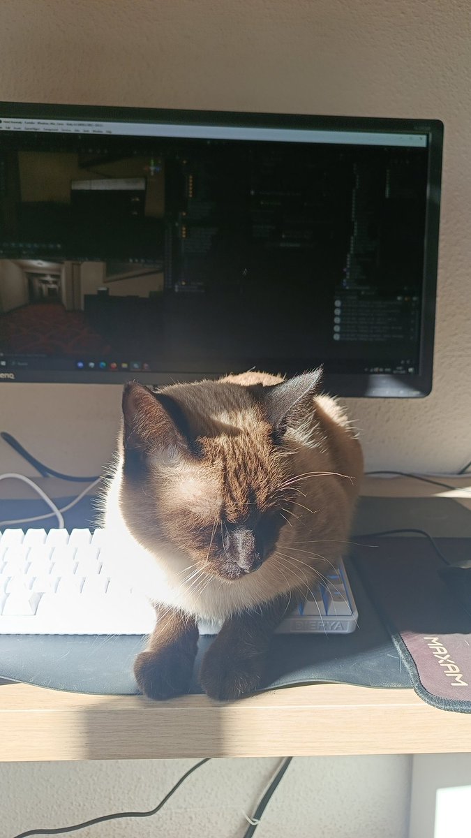 Room 713 | GoragarX tweet media