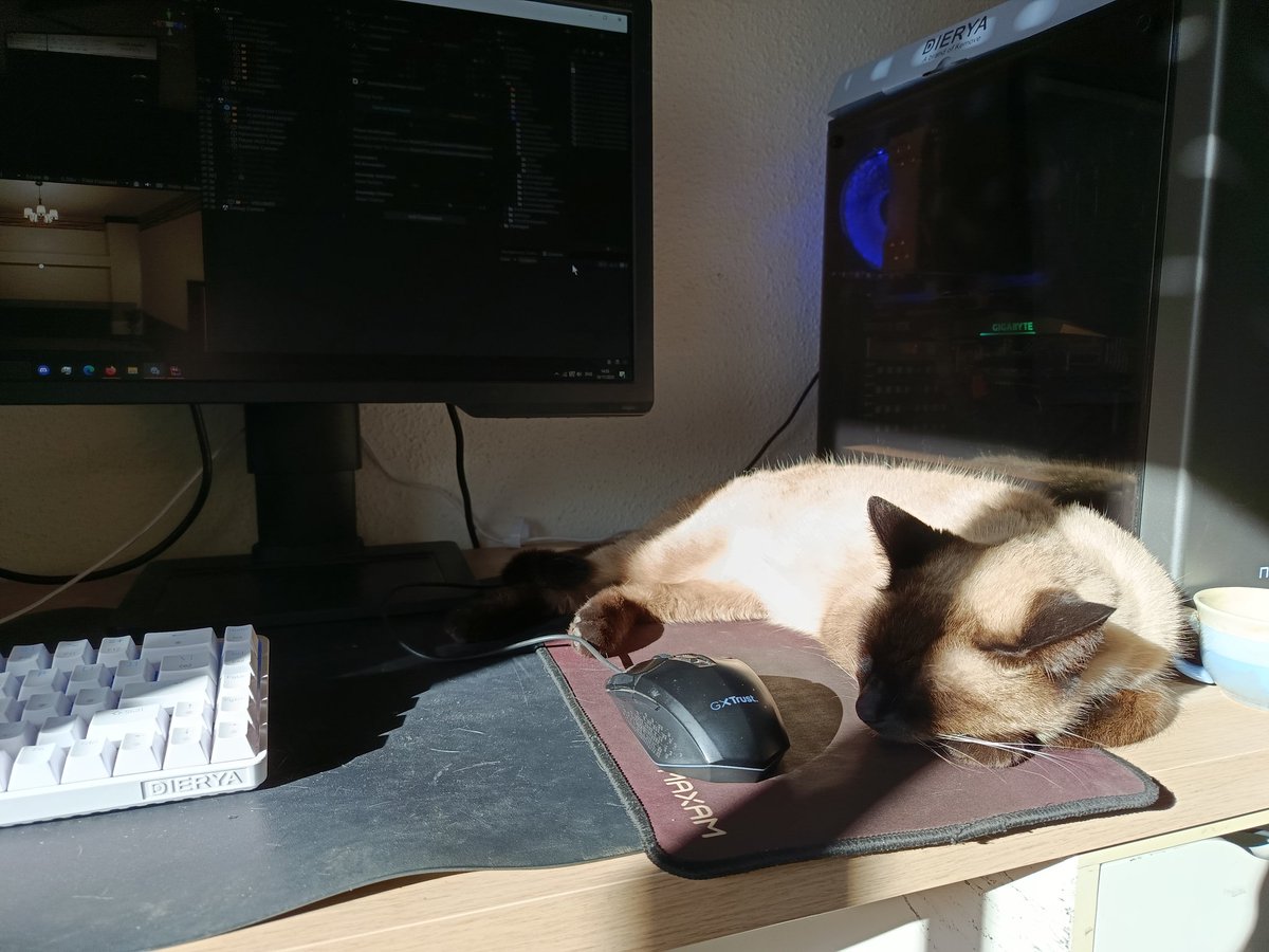 Room 713 | GoragarX tweet media