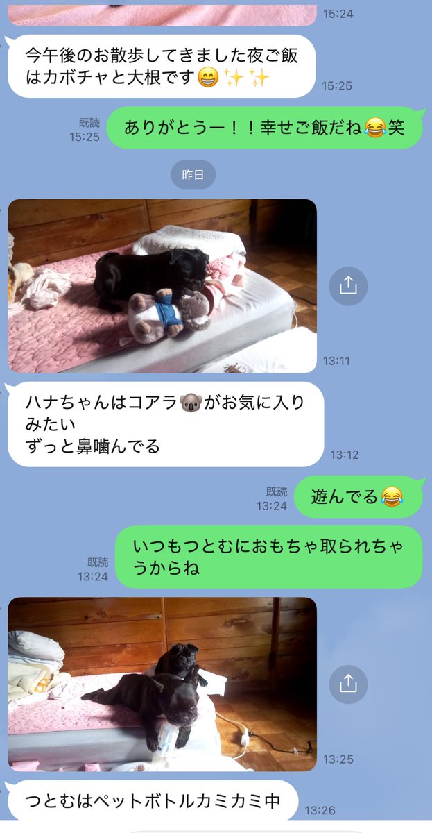 いくみ(オタクのすがた) (@P193azs) / Posts / X