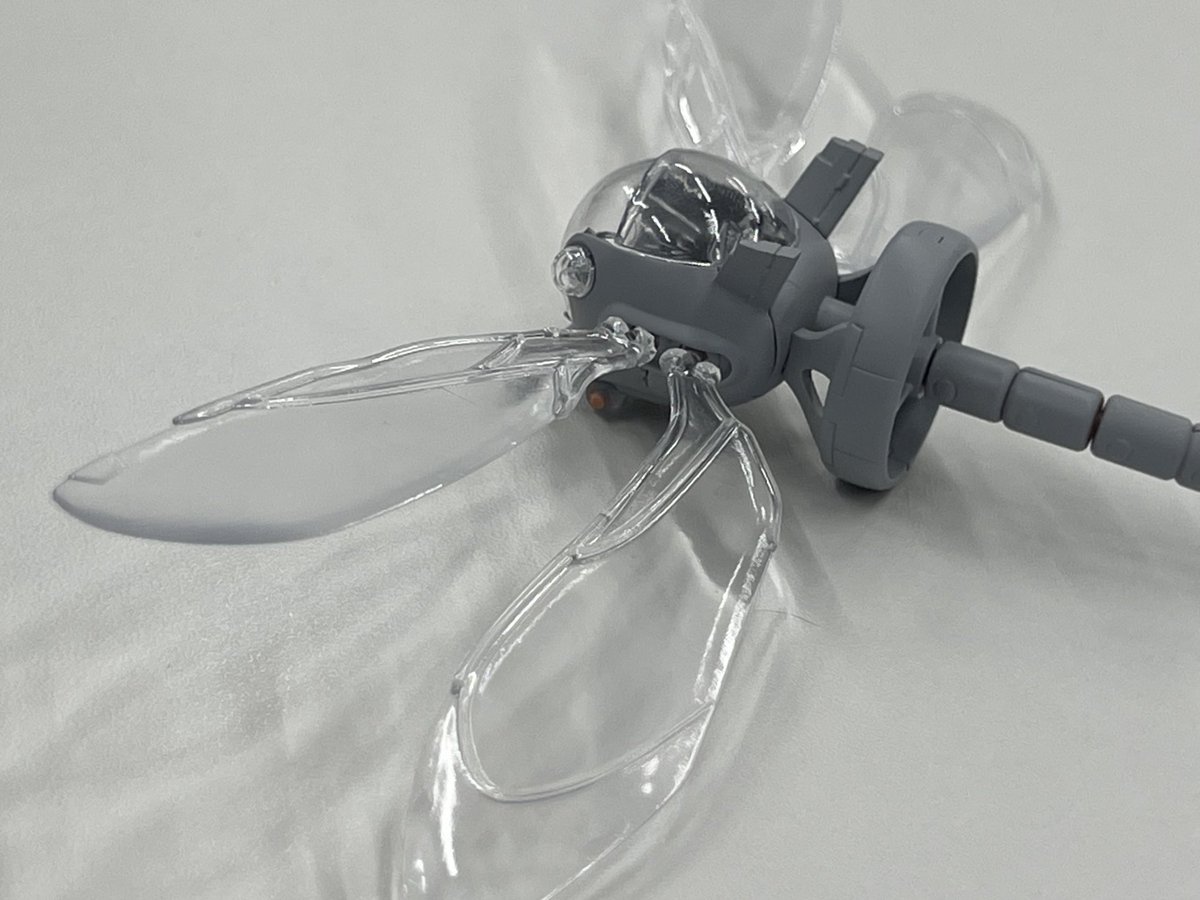 大童 澄瞳/Sumito Oowara tweet media